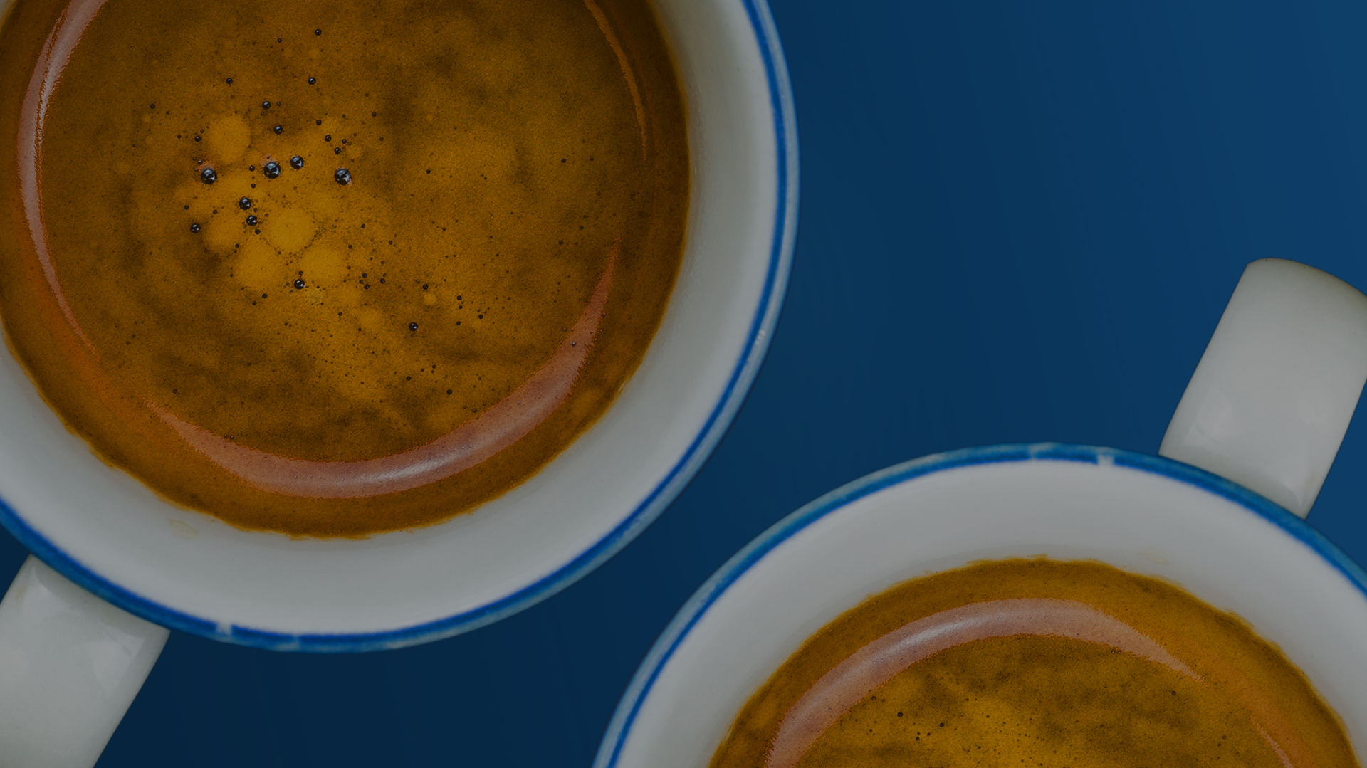 História da Empresa