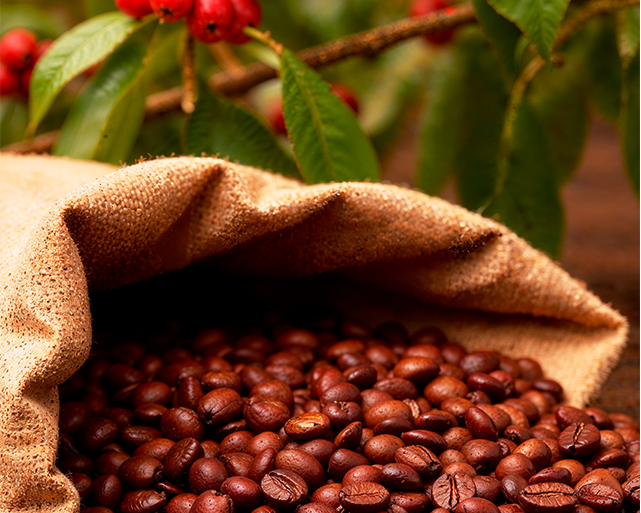 Preparação do Verdadeiro Espresso