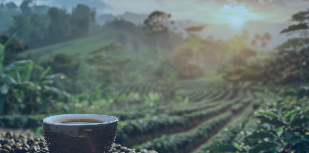 Sustentabilidade Background